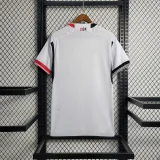 Benfica 2023-24 third away Soccer jersey