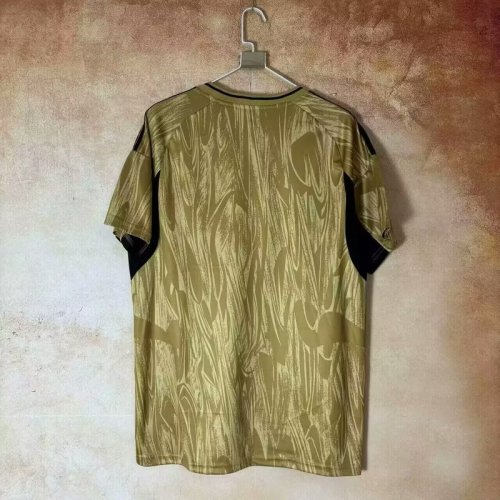 2025-26 Real Madrid  gold special jersey