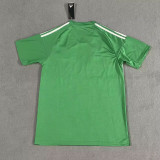 2025-26 Newcastle Away Soccer Jersey