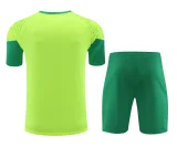 palmeiras 2024 SS training sets
