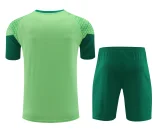 palmeiras 2024 SS training sets
