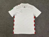 2024-25 FC St. Pauli home soccer jersey