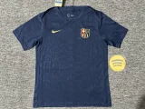 Barcelona 2024-25 blue training jersey
