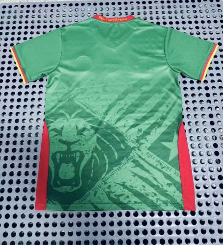 2025-26 Cameroon green jersey
