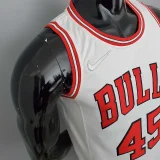 75th Anniversary Jordan #45 Bulls White