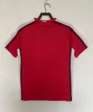 Arsenal 2008-10 home