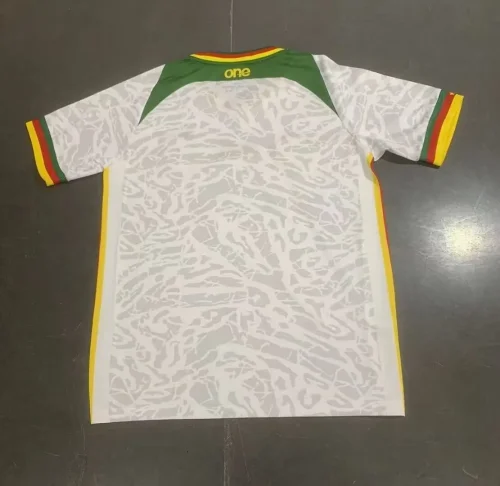 Cameroon 23-24 white soccer jerseys