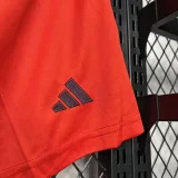 BayernMunich  2024-25 shorts