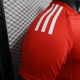 2024-25 Benfica home player version(The player version is more slim fit, it is recommended to buy one size larger)