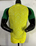 25-26 Jamaica home player version jersey