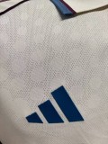 2025-26 Ajax Third Away Player Version Jersey (The player version is more slim fit, it is recommended to buy one size larger)