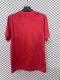2025-26 Birmingham City third soccer jersey