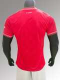 2025-26 Bayern Red Special Player Version Jersey(The player version is more slim fit, it is recommended to buy one size larger)