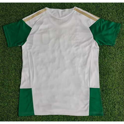 Italy 2025-26 White Training soccer jersey