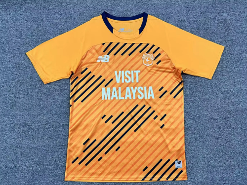 Cardiff City F.C. 2025-26 Third Away Soccer Jersey