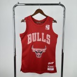 Chicago Bulls ×Blackpink #16 Swingman Jersey