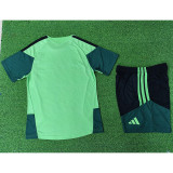 Mexico 2025-26 Green Player Version Training suit