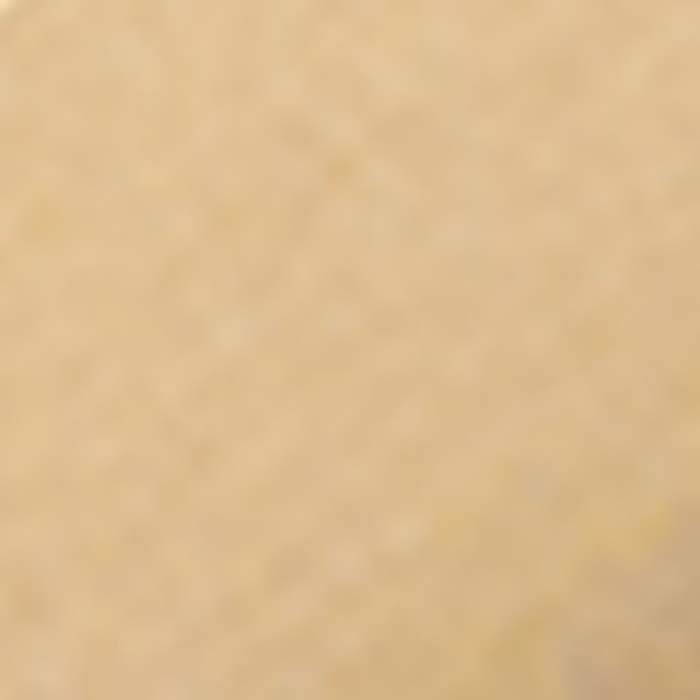 Native | Crystal Sunray Dial - Mesh