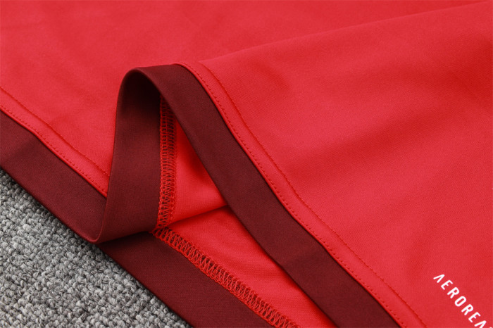 Internacional Training Jersey Suit 24/25