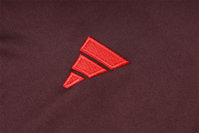 Bayern Munich Training Jersey Suit 24/25