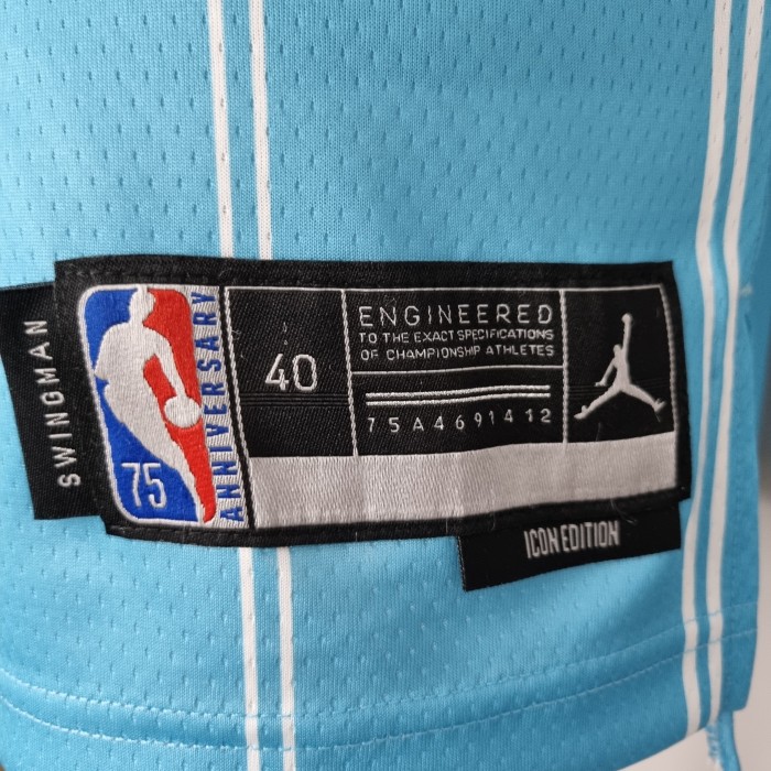 Gordon Hayward Charlotte Hornets 75th Anniversary Swingman Jersey Blue