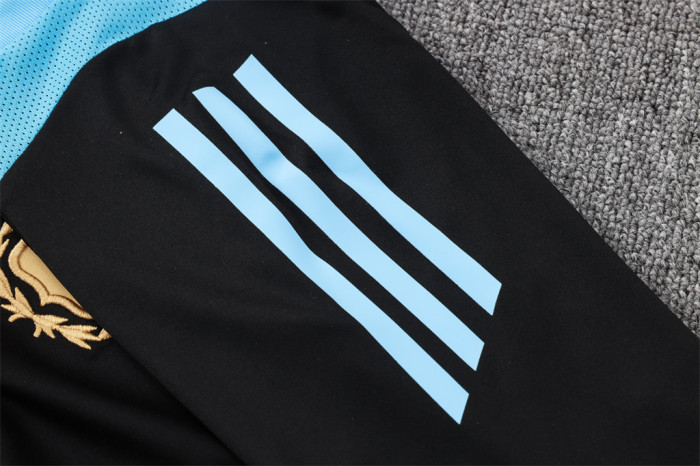 Argentina Training Short Sleeve Jersey 24/25