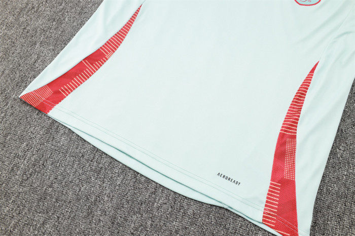 Spain Training Short sleeve Jersey 24/25