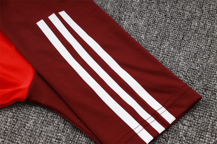 Internacional POLO Jersey 24/25