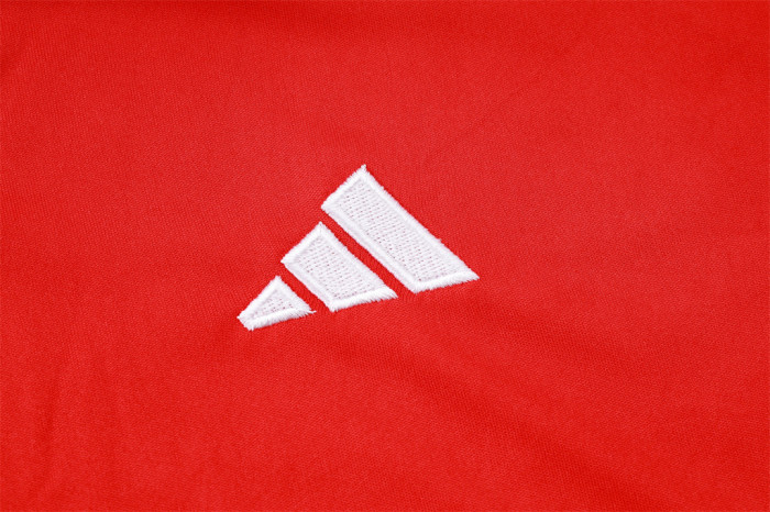 Internacional POLO Jersey 24/25