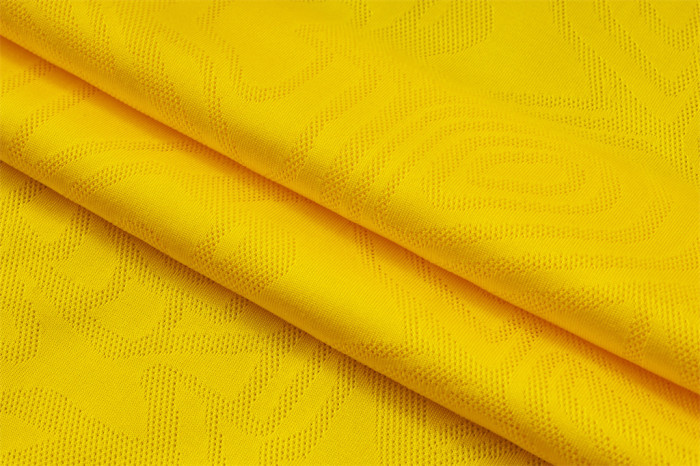 Borussia Dortmund Training Short sleeve Suit 24/25