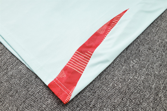 Spain POLO Jersey 24/25