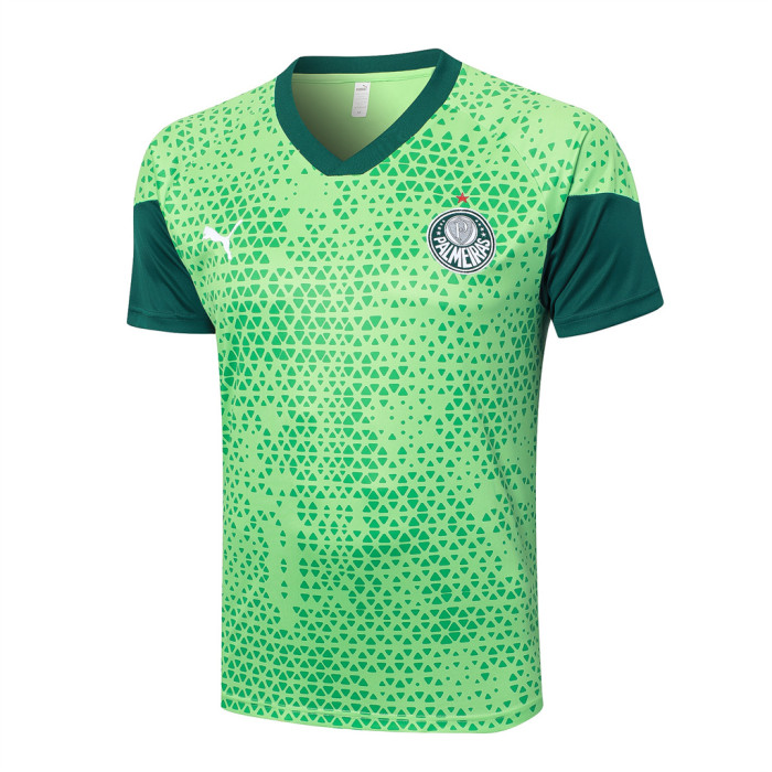 Palmeiras Training Short sleeve Suit 24/25