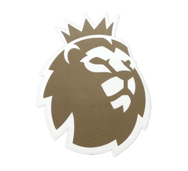 Manchester City Home Player Jersey 24/25