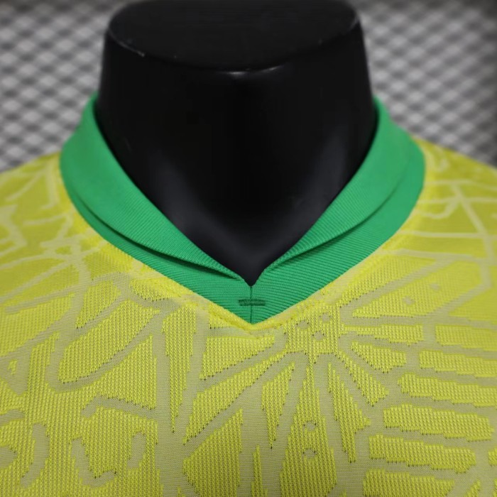 Brazil 2024 Copa America Home Player Version Man Jersey