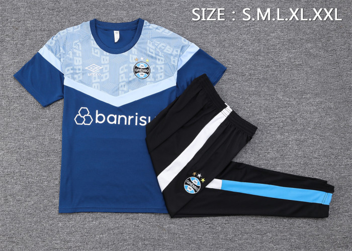 Gremio Training Jersey 23/24