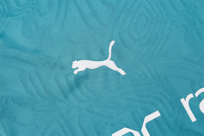 Marseille Training Short sleeve Jersey 24/25