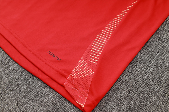 Spain Training Short sleeve Jersey 24/25