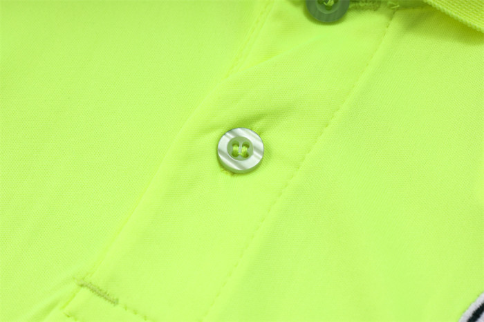 Palmeiras POLO Jersey 23/24
