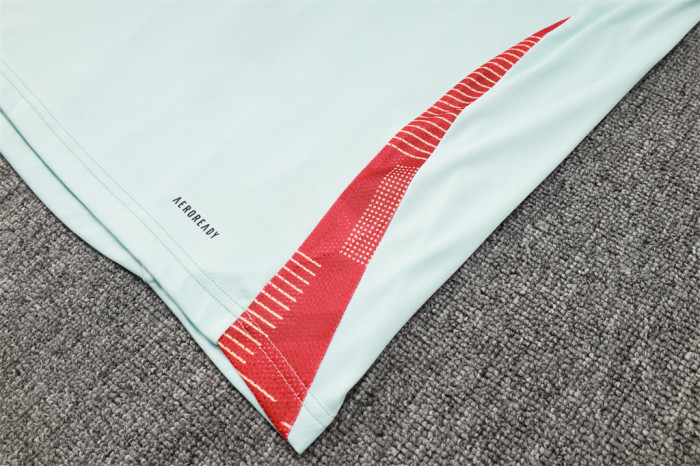 Spain Training Short sleeve Jersey 24/25