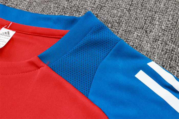 Spain Training Short sleeve Jersey 24/25
