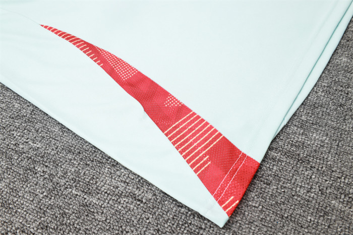 Spain POLO Jersey 24/25