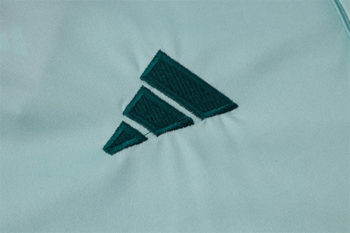 Cruzeiro  POLO Jersey 24/25