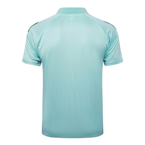 Cruzeiro  POLO Jersey 24/25
