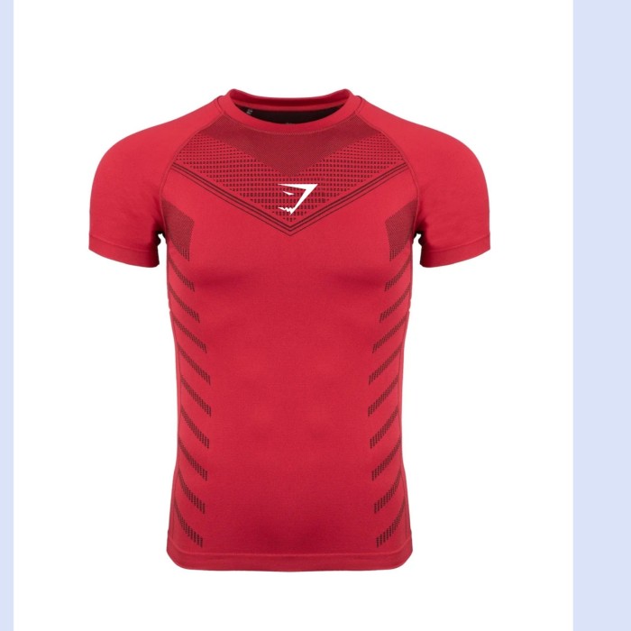 Gymshark T-shirt apex seamless