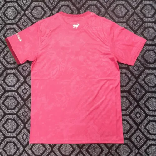 Portugal 2025 Special Man Jersey