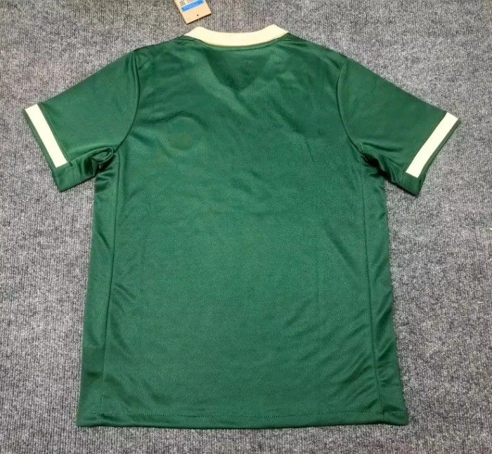 VfL Wolfsburg Special commemorative edition Man Jersey 2025