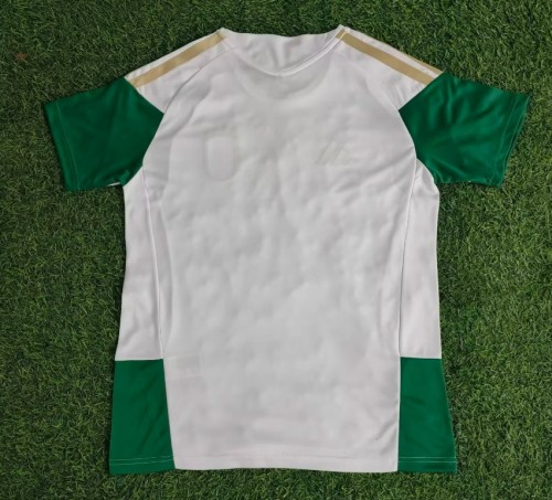 Italy 2025 Pre Training Men Jersey