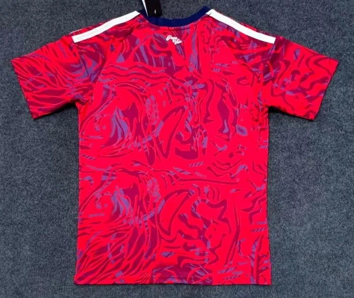 Costa Rica 2026 World Cup Home Men Jersey