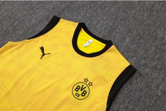 Borussia Dortmund Training Jersey 25/26