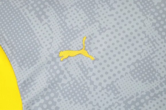 Borussia Dortmund Training Short sleeve Jersey 25/26